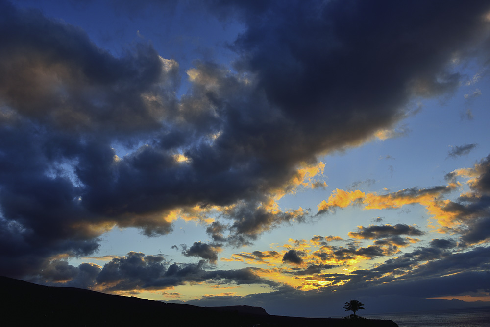 Platz 3 Franz Müller